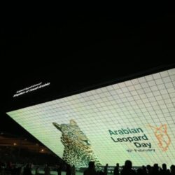 كارلوس إدواردو يُعيد “الأهلي” لطريق الانتصارات بهدف في مرمى “الفتح”