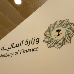 المركز الوطني لتنمية الحياة الفطرية يقف على حادثة هجوم قرود بابون على مواطن في الباحة