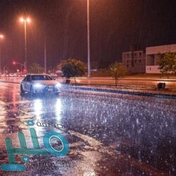 هيئة النقل تحدد الموظفين المخولين بضبط مخالفات نظام النقل بالخطوط الحديدية