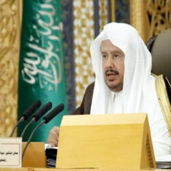 الحياة الفطرية يقف على حادثة هجوم قرود بابون على مواطن في الباحة