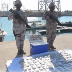 القيادة تهنئ رئيس ألمانيا بمناسبة إعادة انتخابه لفترة رئاسية جديدة