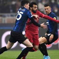 المواقع الأثرية والنقوش.. إرث حضاري ورافد ثقافي ومحتوى وطني