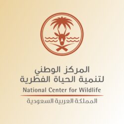 أمانة منطقة الرياض: الحملات الميدانية مستمرة لمعالجة وضع أحياء وسط العاصمة