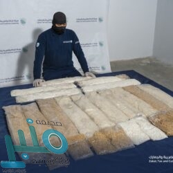 16 شاحنة إغاثية تابعة لمركز الملك سلمان للإغاثة تعبر منفذ الوديعة متوجهة إلى اليمن