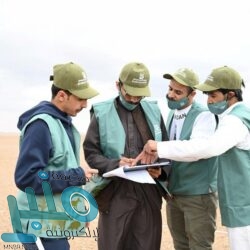 التحالف : تنفيذ (16) عملية استهداف ضد المليشيا الحوثية في مأرب وحجة