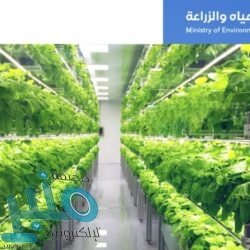 “البيئة” تعلن أسماء المرشحين للمقابلات الشخصية لوظائفها بنظام التعاقد