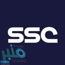 شرطة جازان: القبض على مواطن لإيوائه 12 مخالفًا لنظام أمن الحدود