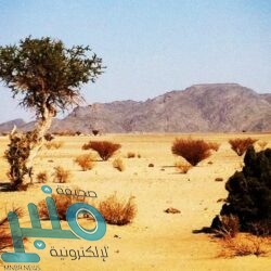 ضبط (13279) مخالفاً لأنظمة الإقامة والعمل وأمن الحدود في مناطق المملكة