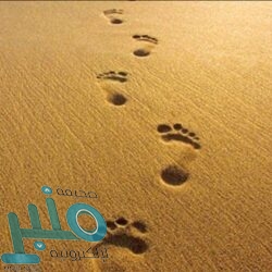 “التعليم” تدعم أكثر من 250 مشروعا بحثيا في مكافحة السرطان