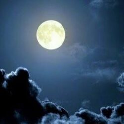 سمو أمير منطقة الباحة يعلن إطلاق فعاليات مهرجان الباحة الربيعي 2022