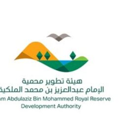 الهيئة الوطنية للأمن السيبراني تشارك في معرض الدفاع العالمي