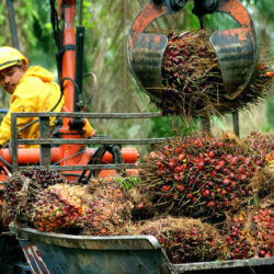 تنمية العرضية الشمالية تقيم حفل تكريم المستفيدين من مبادرة تدريب 177 شابًا وفتاة