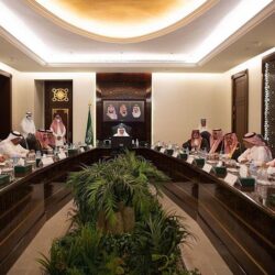 وزراء الداخلية العرب يؤكدون العزم على التصدي للمخاطر التي تهدد أمن الوطن العربي