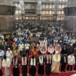 الأفواج الأمنية بمنطقة جازان تحبط محاولة تهريب (121) كيلوجرامًا من القات المخدر بحوزة مواطن