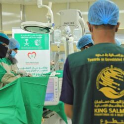 القبض على عصابة من 5 أفراد ارتكبوا جرائم سرقة مركبات ومحال تجارية بجدة