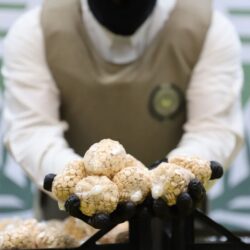 “الصحة”: تسجيل 110 إصابة جديدة بفيروس “كورونا”.. وتعافي 142 حالة