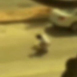 نائب وزير الصناعة والثروة المعدنية: نعمل على تطوير صناعة البناء والتشييد