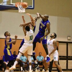 القبض على امرأة ارتكبت حـوادث نصب واحتيال عبر مواقع التواصل الاجتماعي بالقصيم