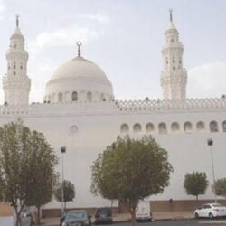 أبرزها كلاسيكو الهلال والأهلي .. الجولة 25 من دوري المحترفين تواصل منافساتها بـ 3 مواجهات نارية