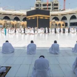 “التجارة” تداهم شقة سكنية في الهفوف لاتخاذها وكراً لتخزين العدسات الطبية والنظارات المغشوشة