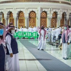 أمانة جدة تضبط 13 طنًا لحوم مجهولة المصدر