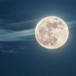 ضبط (13265) مخالفاً لأنظمة الإقامة والعمل وأمن الحدود خلال أسبوع