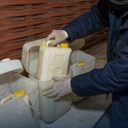 منظمة التعاون الإسلامي تدين بشدة الاعتداءات على المسجد الأقصى