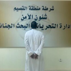 “موهبة” تفُوز بذهبية جائزة ستيفي العالمية للشرق الأوسط وشمال أفريقيا