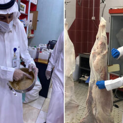 ضبط (64) مخالفًا لنظام البيئة لاستخدامهم الحطب المحلي في أنشطة تجارية في الرياض