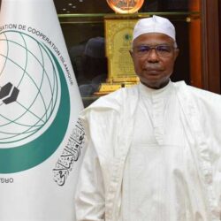 المملكة تبرم اتفاقية مع شركة لوسِد لشراء نحو 100 ألف سيارة كهربائية