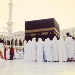 مرور الرياض يقبض على قائد مركبة عكس السير وتَسبَّبَ في تَضرُّرِ 11 مركبة