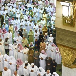 مصر ترحب بالبيان الأممي الخاص بالإعلان عن هُدنة في اليمن