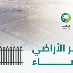 الاتحاد الأوروبي يرحب بتشكيل مجلس القيادة الرئاسي في اليمن