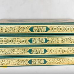 “الإحصاء”: زيادة استخدام مصادر الطاقة النظيفة والمتجددة في مساكن المملكة في 2021