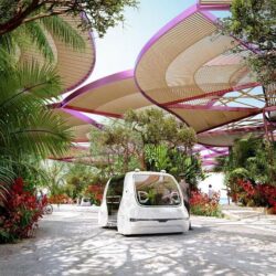 وزير العدل يُعيّن 11 عضوًا في لجان المحامين بمكة المكرمة والشرقية