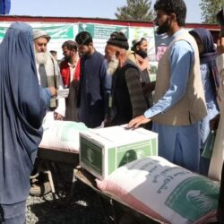 “الحج والعمرة” توقف شركة لتقصيرها في خدمة المعتمرين