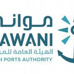 هيئة الحكومة الرقمية تكمل تدريب 120 جهة حكومية على آليات تعزيز جودة المحتوى الرقمي