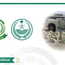 جامعة جدة تحصد الاعتماد في المعيار الوطني للتطوع