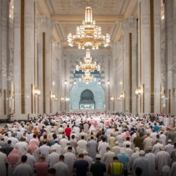 “أبشر” : خدمات المنصة لا تظهر برقم الحدود