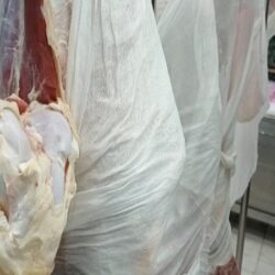 الشؤون الإسلامية تدشن برامج خادم الحرمين الشريفين لتفطير الصائمين وتوزيع التمور في السنغال