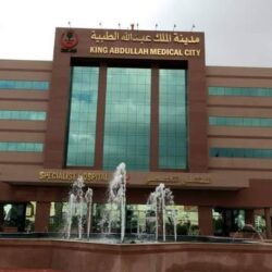 “أبشر” : خدمات المنصة لا تظهر برقم الحدود