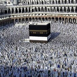 “ملاك” يعلن اعتماد أكثر من 800 جمعية لمشاريع البيع على الخارطة