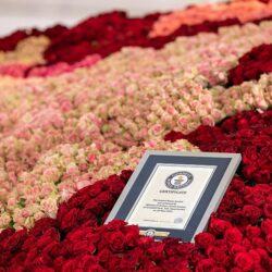 الهيئة السعودية للسياحة تُوقِّعُ أكثر من 90 اتفاقية ومذكرة تفاهم خلال مشاركتها في معرض سوق السفر العربي بدبي