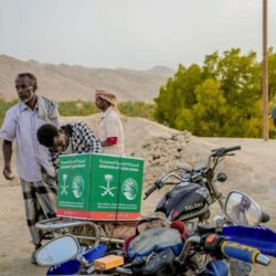 “البيئة” تبدأ تسجيل الحيازات الزراعية وتحديث بيانات 11 نشاطًا زراعيًا وحيوانيًا