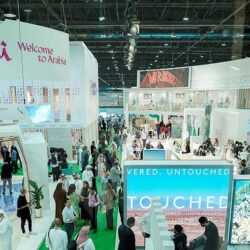 خادم الحرمين الشريفين يوجه بنقل التوأم السيامي اليمني “مودة ورحمة” إلى الرياض