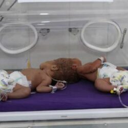 أمير منطقة الرياض يهنئ القيادة بمناسبة مغادرة خادم الحرمين الشريفين المستشفى بعد إجراء الفحوصات الطبية