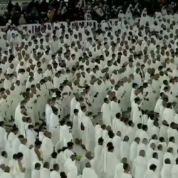 “الأمن البيئي” يضبط (6) مخالفين لنظام البيئة لدخولهم منطقة محمية دون تصريح والصيد في أماكن محظورة بمنطقة تبوك