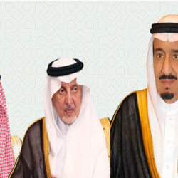 “المواصفات ” تُتِيح فرصة الحصول على رخصة نشاط الفحص الفني الدوري للمركبات