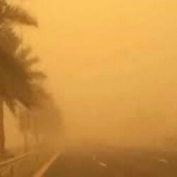 القبض على شخص بحوزته (175) كيلو جرامًا من نبات القات المخدر بجازان