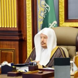 شرطة جازان تقبض على مواطن لإيوائه (6) مخالفات لنظام أمن الحدود